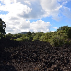 2017-03 New Zealand/Rangitoto/DSC_0140.JPG